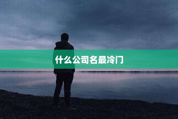 什么公司名最冷门