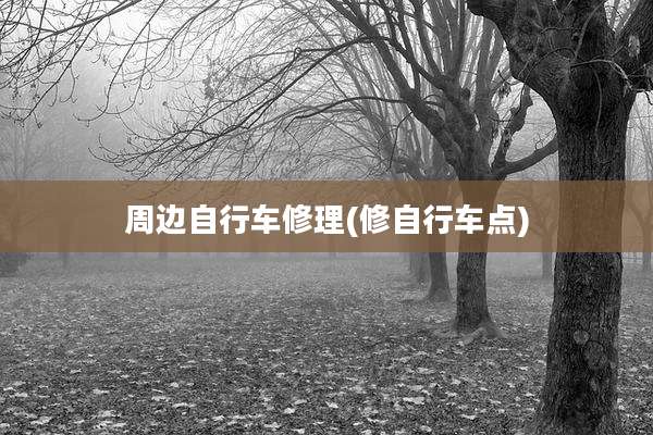 周边自行车修理(修自行车点)