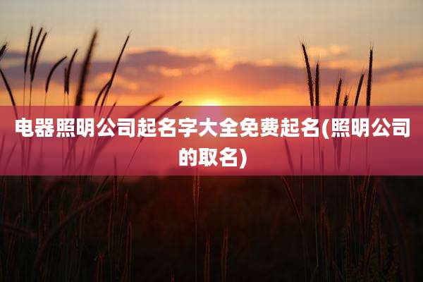 电器照明公司起名字大全免费起名(照明公司的取名)