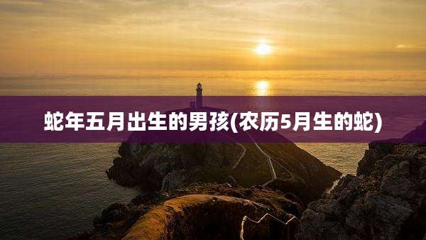 蛇年五月出生的男孩(农历5月生的蛇)