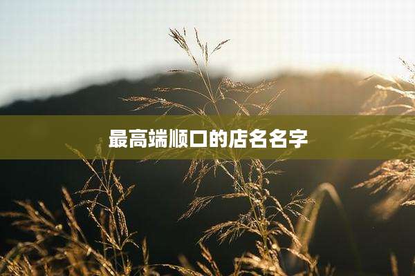 最高端顺口的店名名字