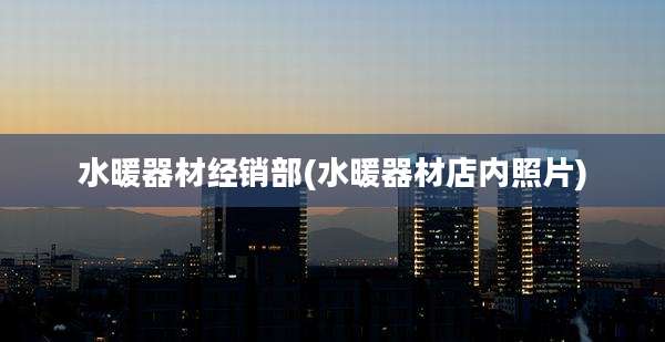 水暖器材经销部(水暖器材店内照片)