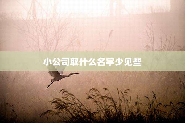 小公司取什么名字少见些