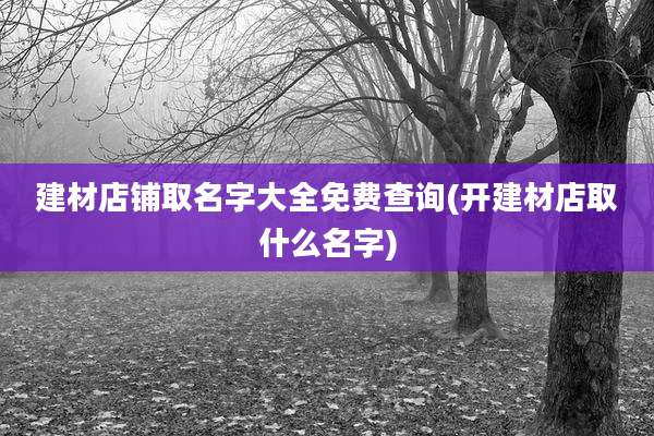 建材店铺取名字大全免费查询(开建材店取什么名字)