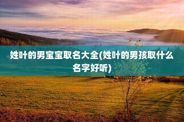 姓叶的男宝宝取名大全(姓叶的男孩取什么名字好听)