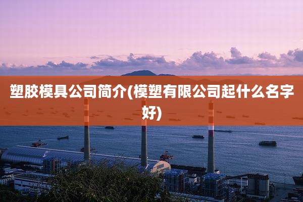 塑胶模具公司简介(模塑有限公司起什么名字好)