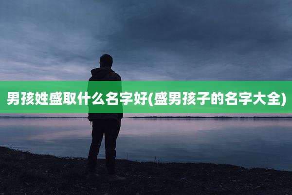 男孩姓盛取什么名字好(盛男孩子的名字大全)