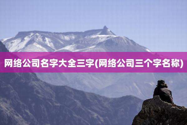 网络公司名字大全三字(网络公司三个字名称)