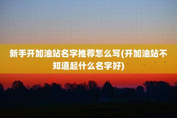 新手开加油站名字推荐怎么写(开加油站不知道起什么名字好)