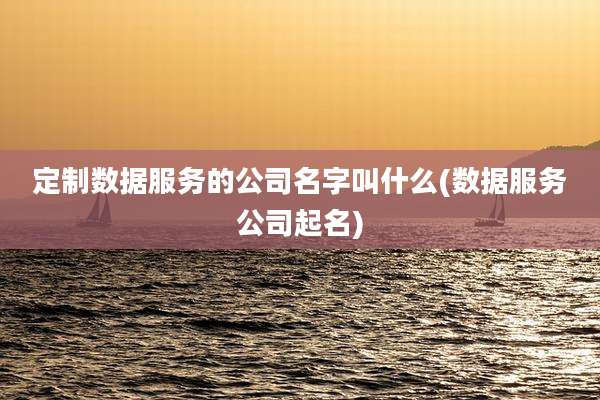 定制数据服务的公司名字叫什么(数据服务公司起名)