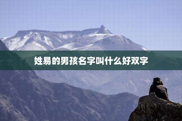 姓易的男孩名字叫什么好双字