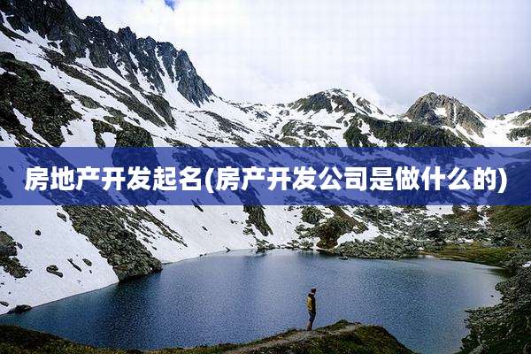 房地产开发起名(房产开发公司是做什么的)
