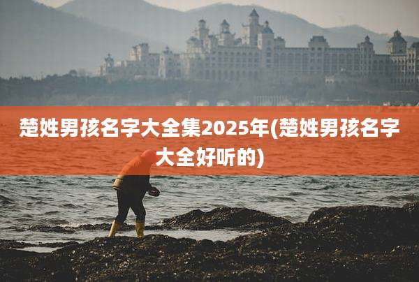 楚姓男孩名字大全集2025年(楚姓男孩名字大全好听的)