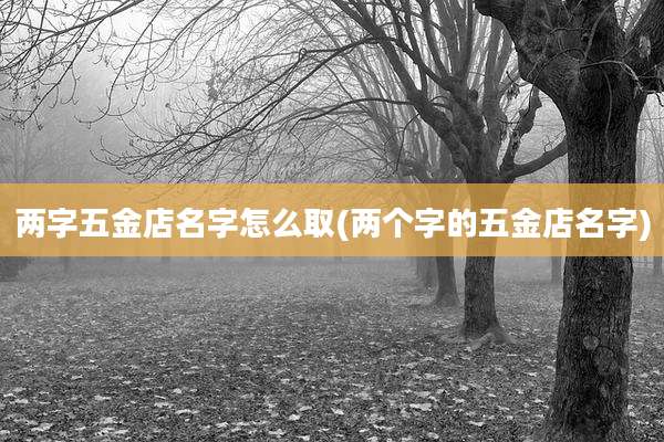 两字五金店名字怎么取(两个字的五金店名字)