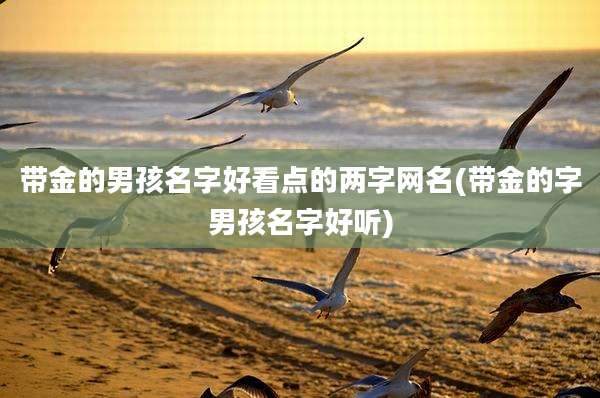 带金的男孩名字好看点的两字网名(带金的字男孩名字好听)