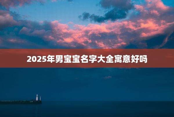 2025年男宝宝名字大全寓意好吗