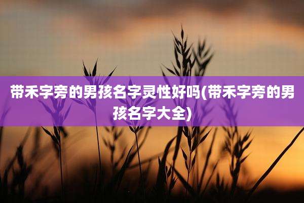 带禾字旁的男孩名字灵性好吗(带禾字旁的男孩名字大全)