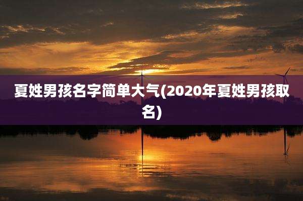 夏姓男孩名字简单大气(2020年夏姓男孩取名)
