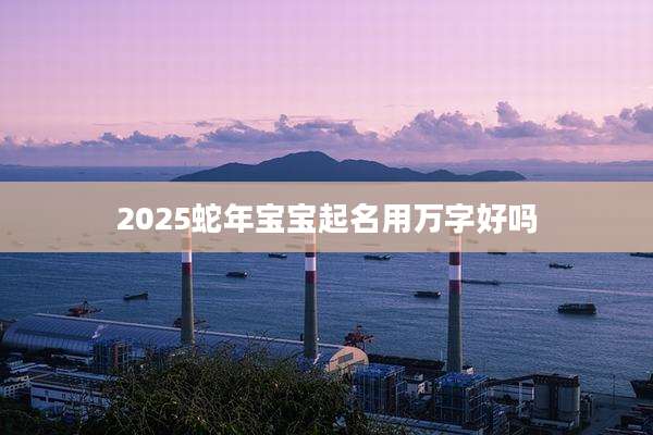 2025蛇年宝宝起名用万字好吗