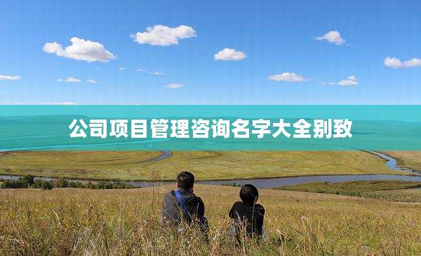 公司项目管理咨询名字大全别致