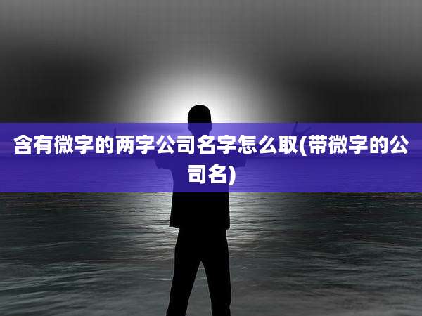 含有微字的两字公司名字怎么取(带微字的公司名)