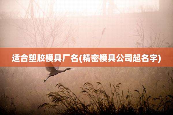 适合塑胶模具厂名(精密模具公司起名字)