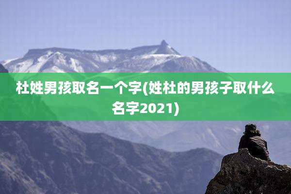 杜姓男孩取名一个字(姓杜的男孩子取什么名字2021)