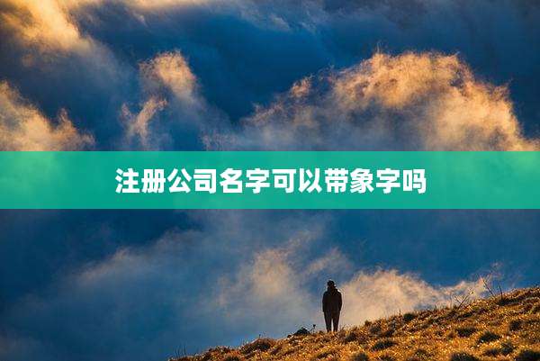 注册公司名字可以带象字吗
