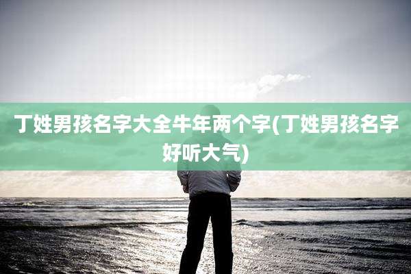 丁姓男孩名字大全牛年两个字(丁姓男孩名字好听大气)
