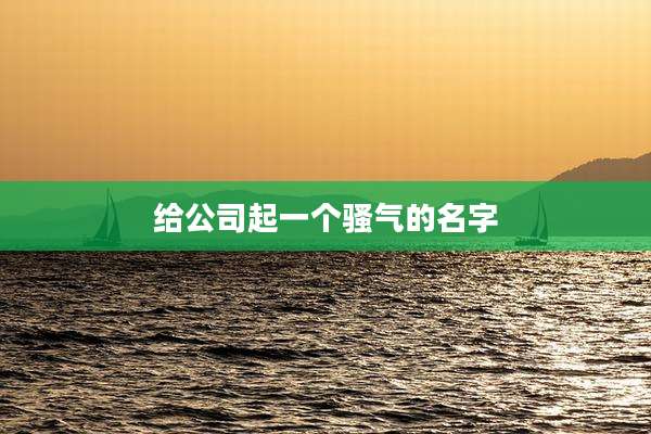给公司起一个骚气的名字