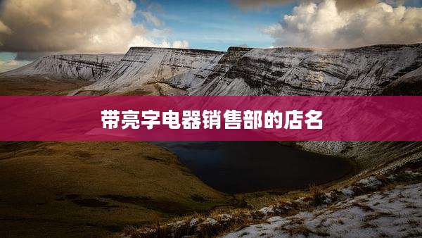 带亮字电器销售部的店名