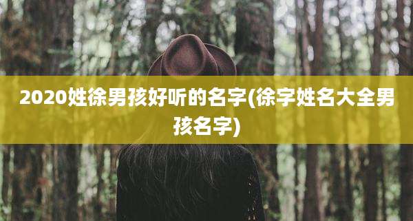 2020姓徐男孩好听的名字(徐字姓名大全男孩名字)
