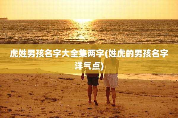 虎姓男孩名字大全集两字(姓虎的男孩名字洋气点)