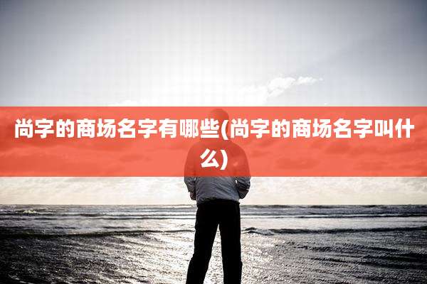 尚字的商场名字有哪些(尚字的商场名字叫什么)