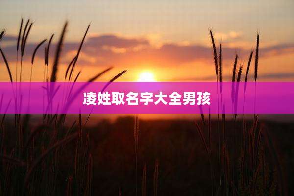 凌姓取名字大全男孩