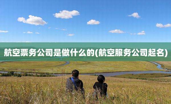 航空票务公司是做什么的(航空服务公司起名)