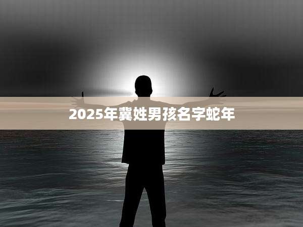 2025年冀姓男孩名字蛇年
