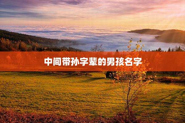 中间带孙字辈的男孩名字