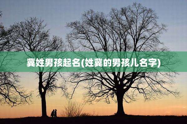 冀姓男孩起名(姓冀的男孩儿名字)