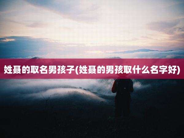 姓聂的取名男孩子(姓聂的男孩取什么名字好)