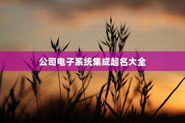 公司电子系统集成起名大全