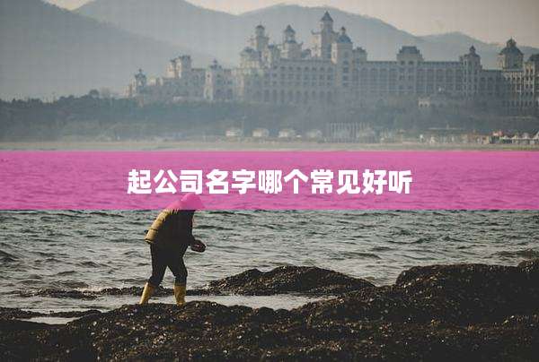 起公司名字哪个常见好听