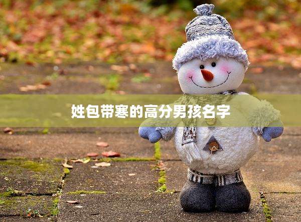 姓包带寒的高分男孩名字