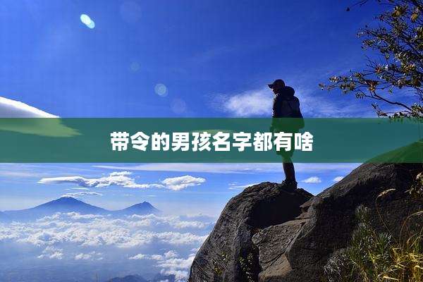 带令的男孩名字都有啥