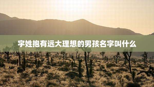 宇姓抱有远大理想的男孩名字叫什么