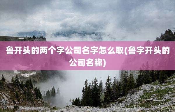 鲁开头的两个字公司名字怎么取(鲁字开头的公司名称)