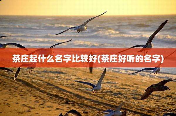 茶庄起什么名字比较好(茶庄好听的名字)
