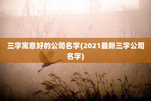 三字寓意好的公司名字(2021最新三字公司名字)