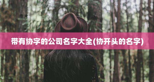 带有协字的公司名字大全(协开头的名字)