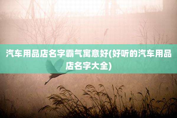 汽车用品店名字霸气寓意好(好听的汽车用品店名字大全)